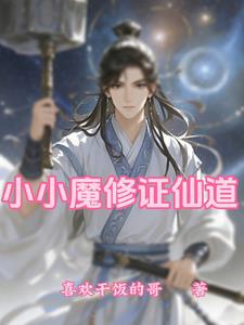 小小魔法师小说