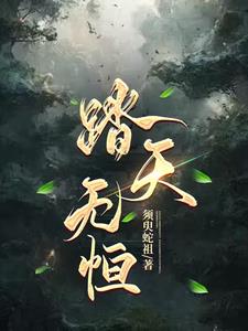 踏天无恒